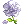 Flor Bicolor