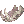 Mandíbula de Morcego