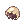 Greater Rgan Eggshell