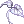 Herosria White Herb