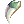 Hard Dragon's Tooth