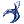 Tail of Coral Marine