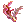 Coral of Coral Marine
