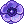 Violet Anemone