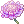 Scabiosa