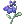 Lobelia