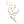 Ghost Flower