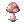 Cogumelo Venenoso