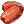 Kurma