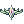 Cetrion Circlet (OSM)