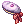 Boina do Éden IV