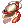 Trumpet Shell