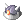 T Gemmed Sallet