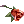 [Visual] Rosa da Sedução