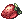 [Visual] Morangão