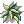 Peruca de Samambaia