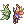 [Visual] Coroa Colorida