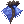Water Dragon Coat