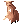 Capa Velha