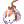 Captured Rabbit