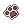 Moeda Ravioli