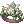 Heaven and Earth Tree Ring