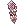 Trança de Violeta