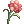 Physical Flower 5Lv