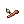 [Visual] Nariz de Galho