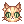 Gata Lasanhinha