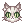 Costume American Shorthair Cat