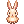 [Visual] Coelho Laranjinha