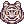 [Visual] Tigre Branco