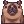 [Visual] Capivara