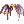 Costume Dragon Wing