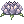Flor de Moscóvia