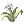 Flor Vital