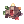 Mega-Elunium