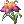 Flor Misteriosa
