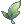 Emerald Leaf