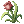Aloés