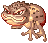 Sapo Venenoso