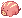 Bebê Selvagem