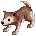Filhote de Lobo
