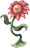 Flor Vermelha